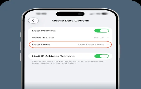 BetVisa Lite Low-Data Application - BetVisa BD